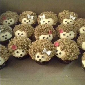 Meet your Posher, Lori